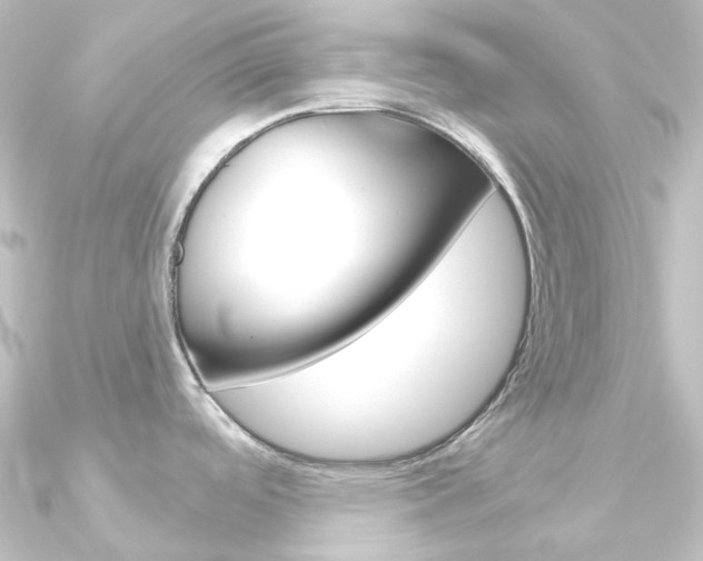 X0000090951488200708021051