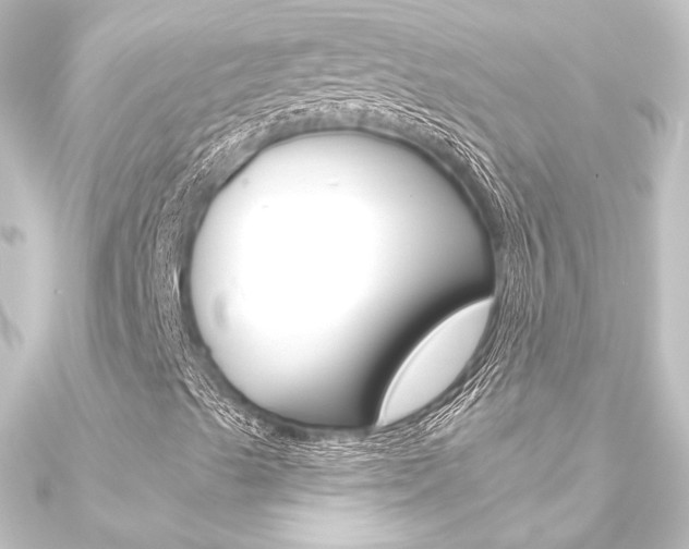 X0000090951489200708021050