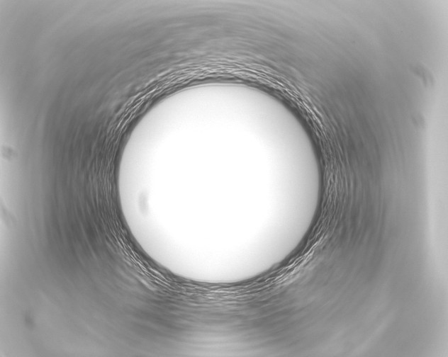 X0000090951490200708021050