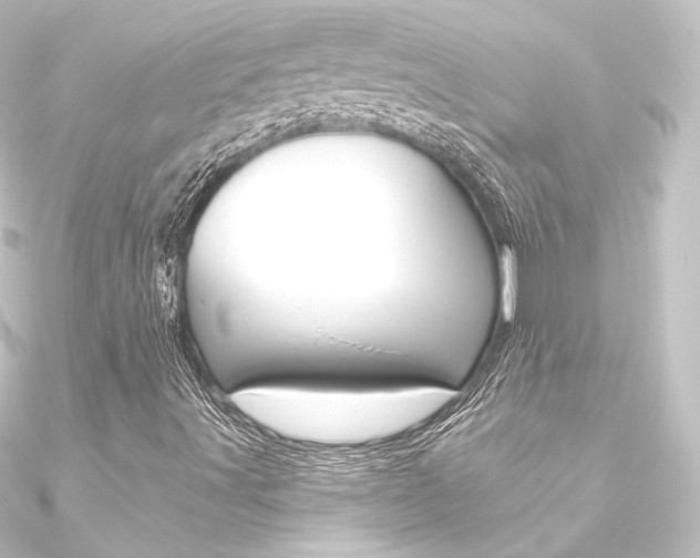 X0000090951491200708021050