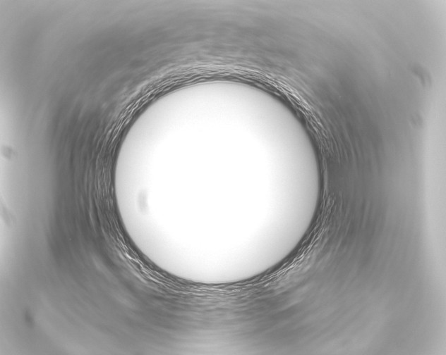 X0000090951492200708021050