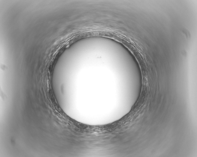 X0000090951493200708021050
