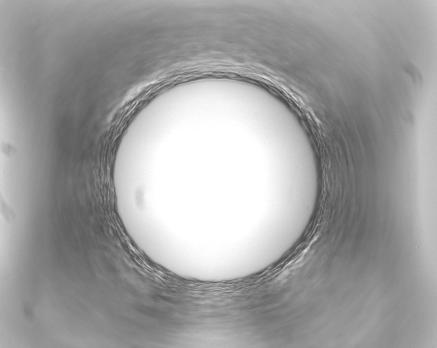 X0000090951494200708021050
