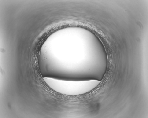 X0000090951495200708021050