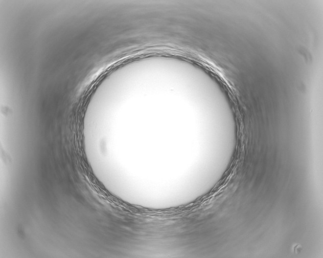 X0000090951496200708021050