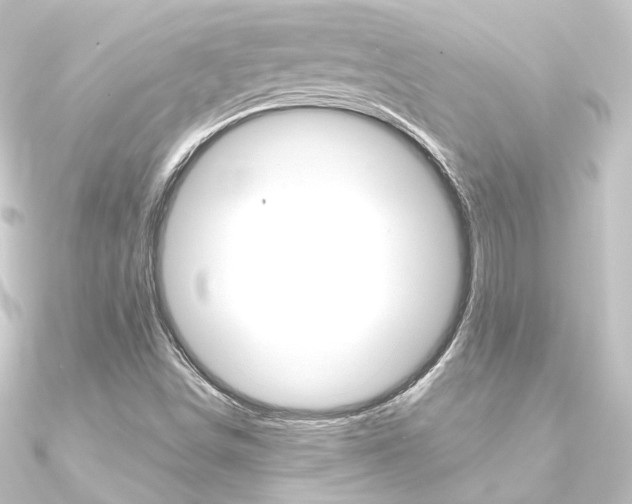 X0000090951498200708021050
