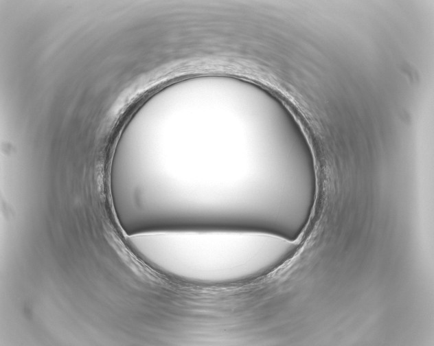 X0000090951499200708021050