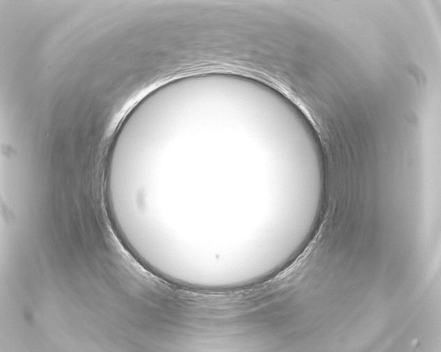 X0000090951500200708021050