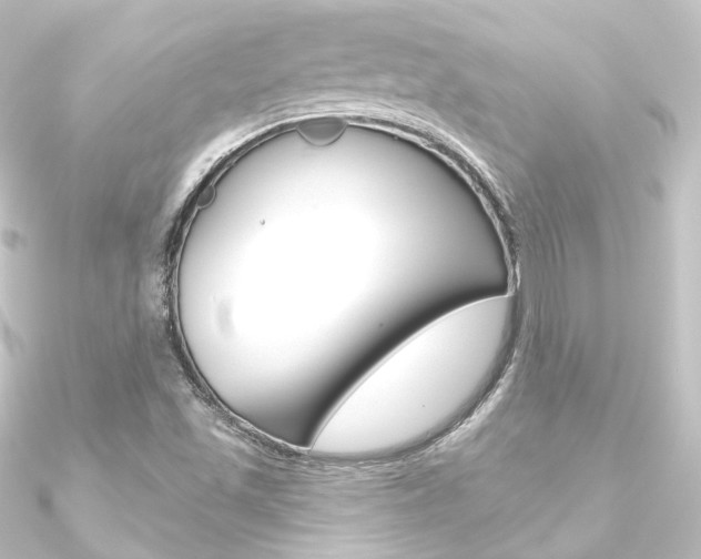 X0000090951501200708021050