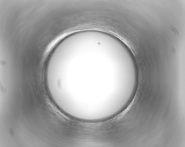 X0000090951502200708021050