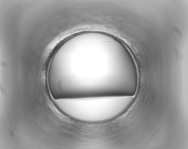 X0000090951503200708021050