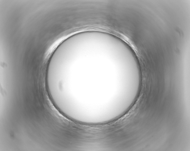 X0000090951504200708021050