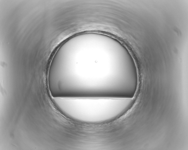 X0000090951505200708021050
