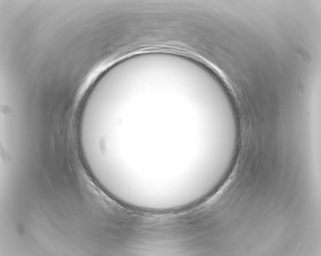 X0000090951506200708021050