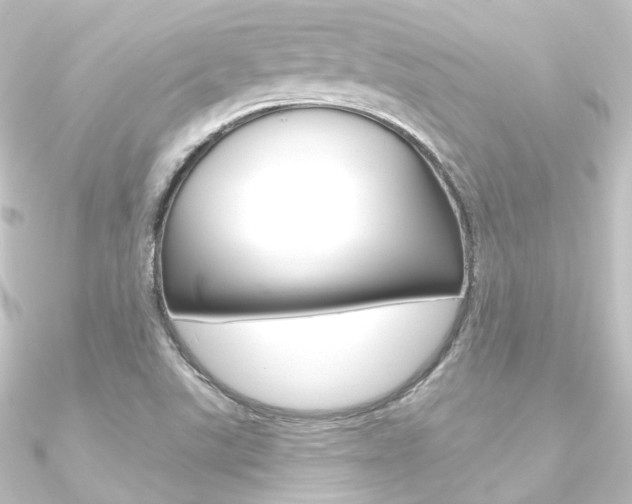 X0000090951507200708021050