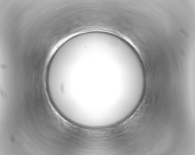 X0000090951508200708021050
