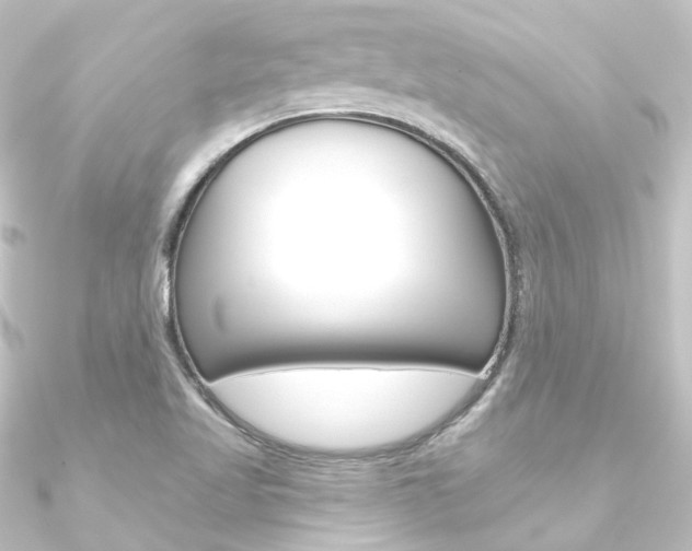 X0000090951509200708021050