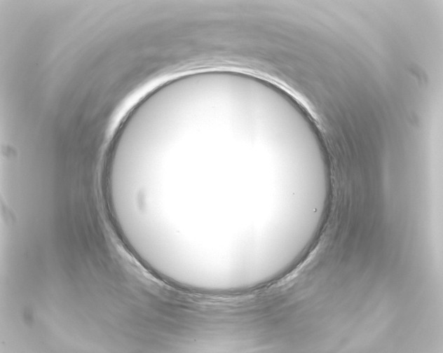 X0000090951510200708021050