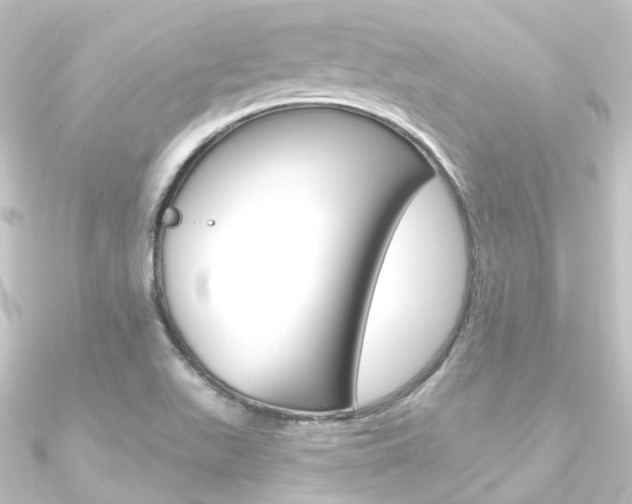 X0000090951511200708021050