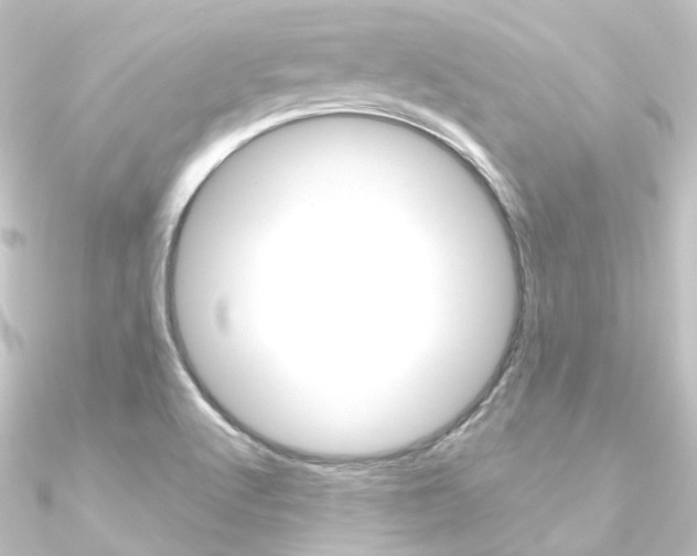 X0000090951512200708021050