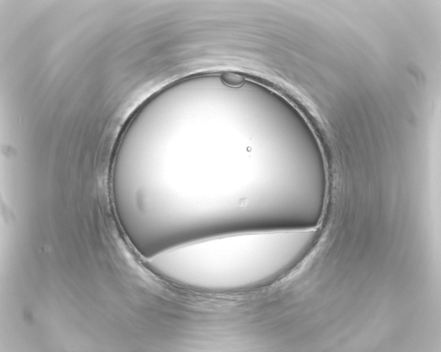 X0000090951513200708021050