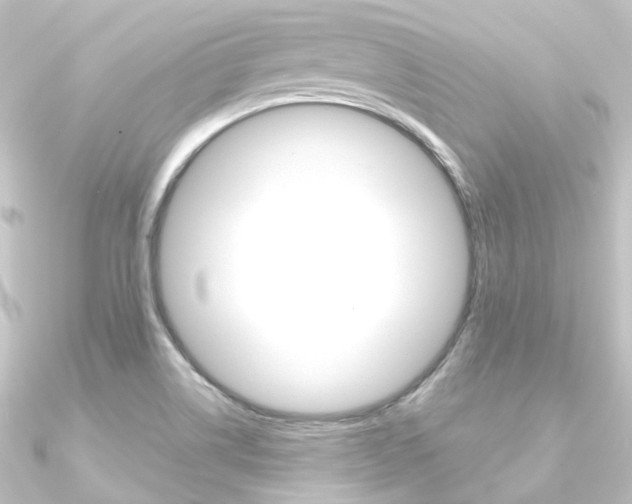 X0000090951514200708021050