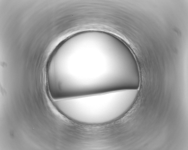 X0000090951515200708021050