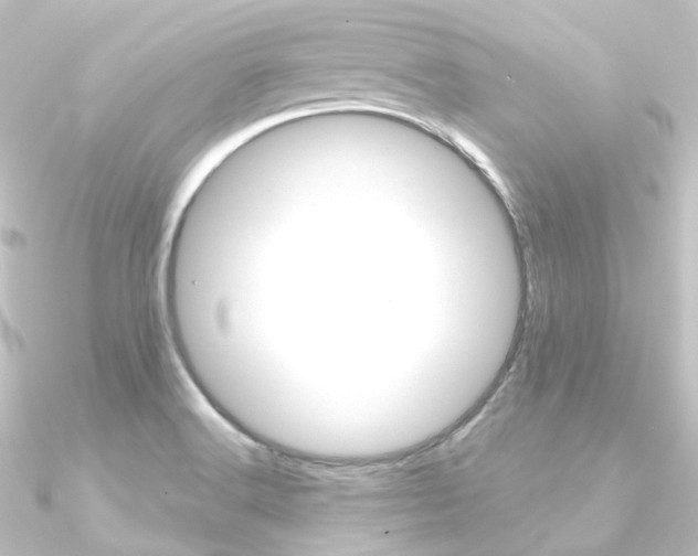 X0000090951516200708021050