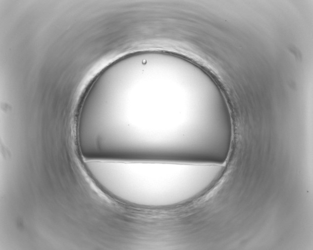 X0000090951517200708021050