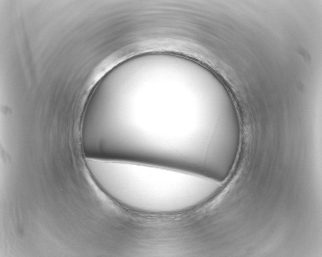 X0000090951521200708021050