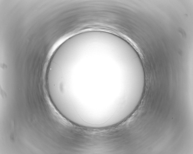 X0000090951522200708021050