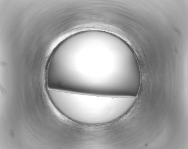 X0000090951523200708021050