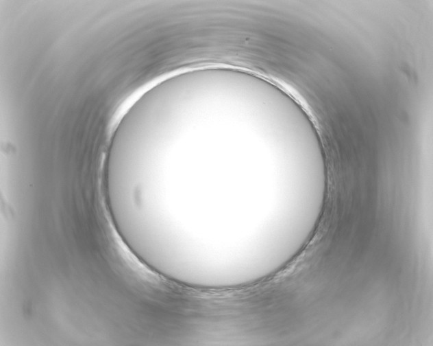 X0000090951524200708021050