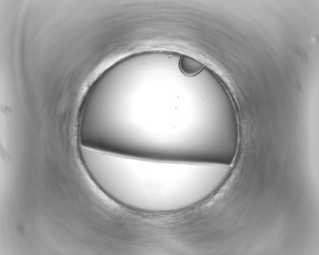 X0000090951525200708021050