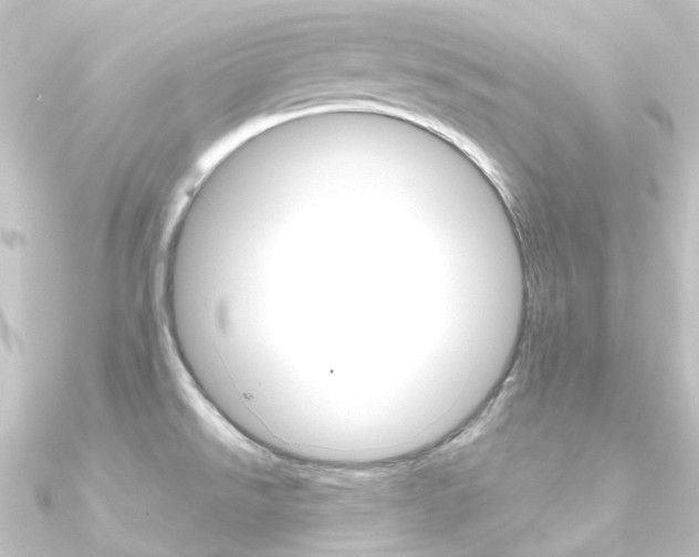 X0000090951526200708021050