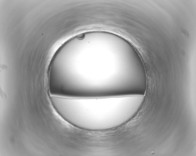 X0000090951527200708021050