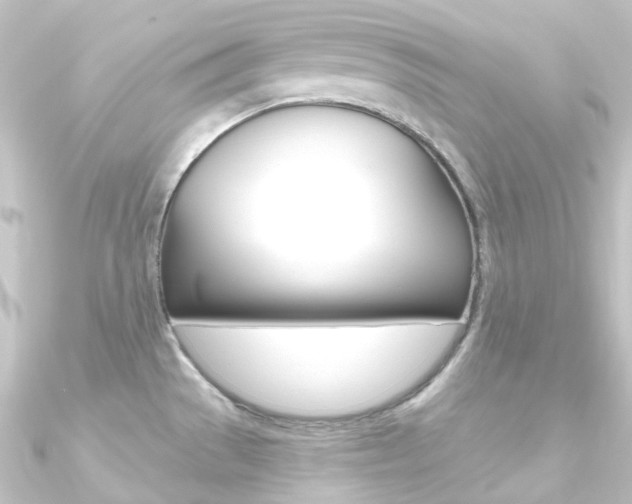 X0000090951529200708021050