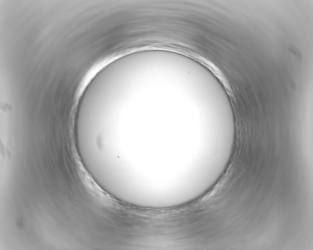 X0000090951530200708021050