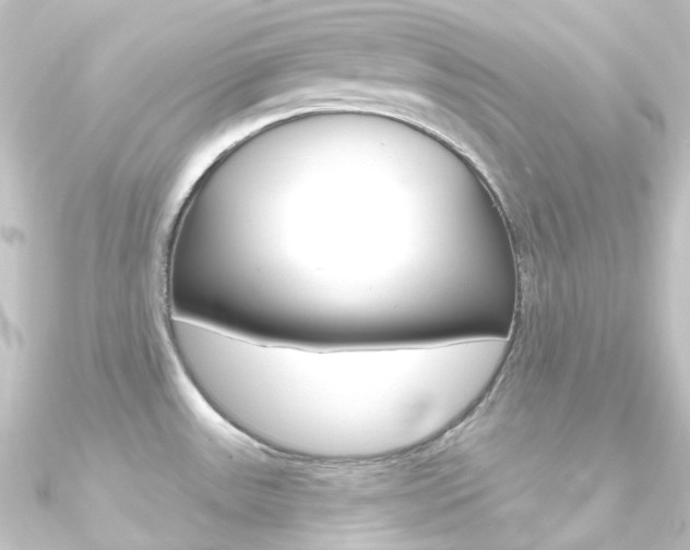 X0000090951531200708021050