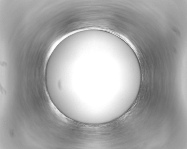 X0000090951532200708021050