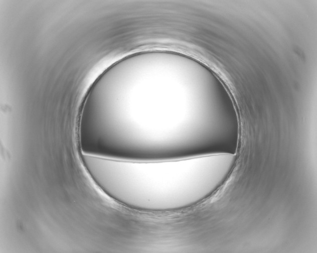X0000090951533200708021050
