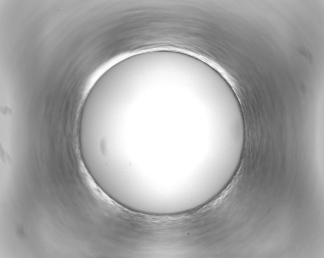 X0000090951534200708021050