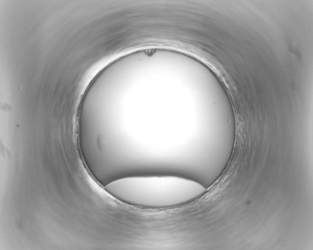 X0000090951535200708021050