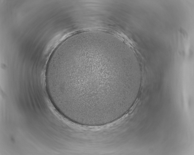 X0000090950002200708021346