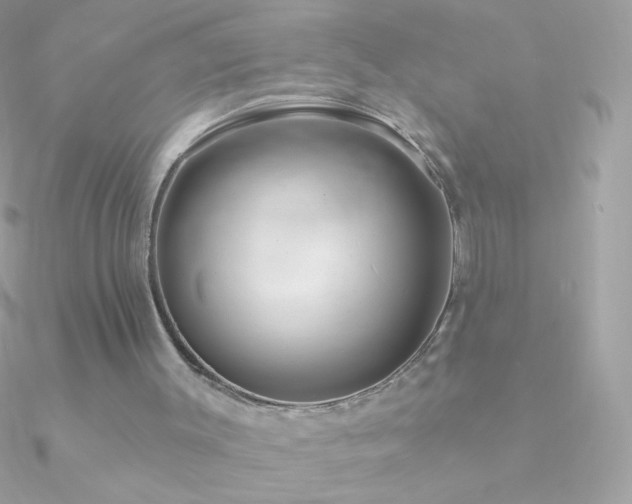 X0000090950003200708021346