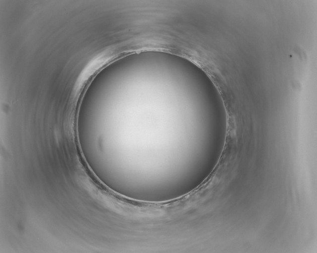 X0000090950004200708021346