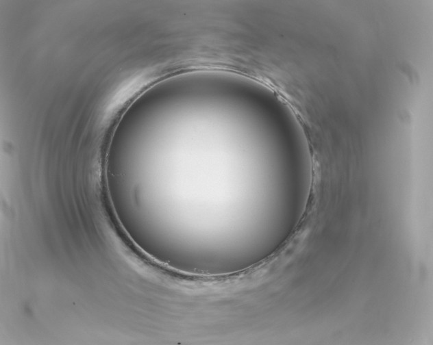 X0000090950005200708021346