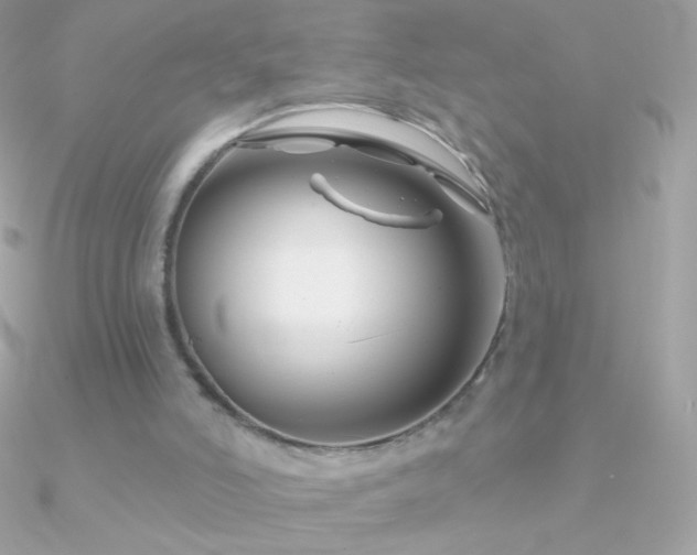 X0000090950006200708021346