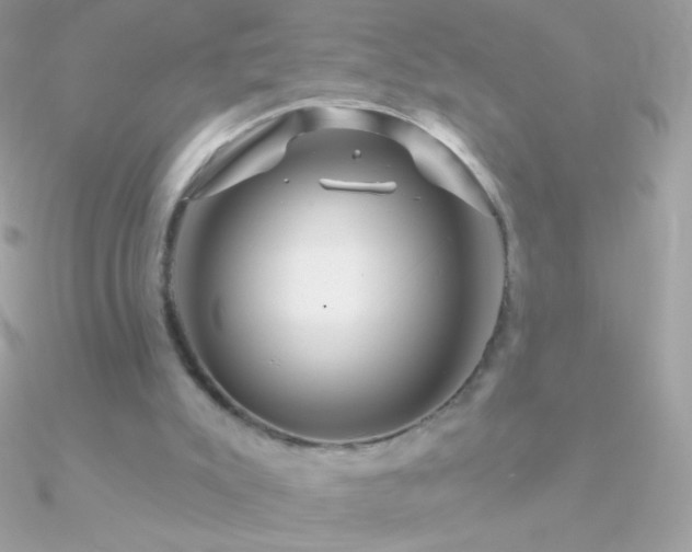 X0000090950007200708021346