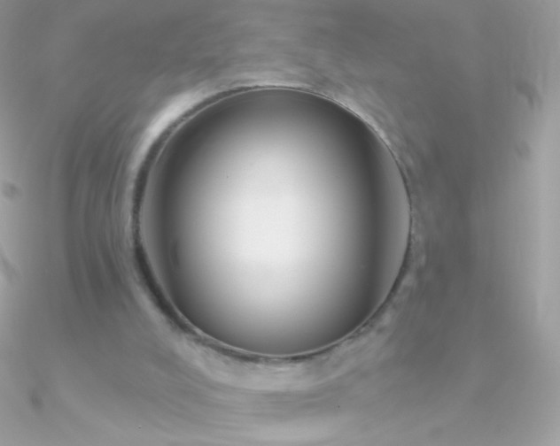 X0000090950008200708021346